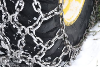 shutterstock_2446585255